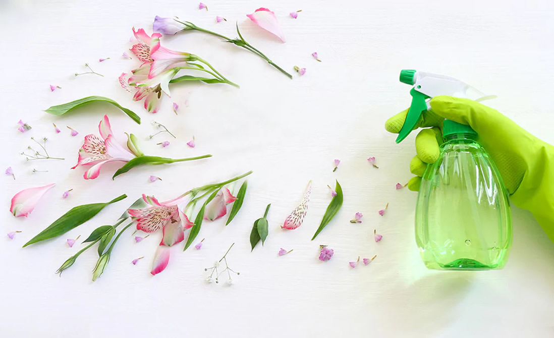 Bioplásticos: uma opção promissora