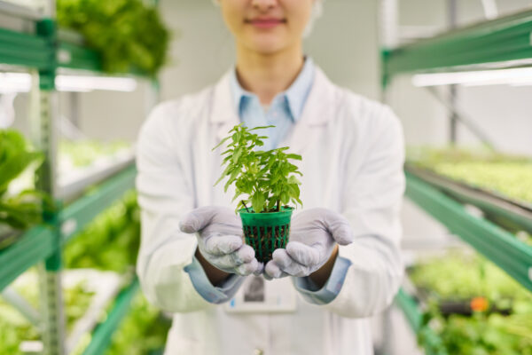 Insumos Sustentáveis para o Agronegócio